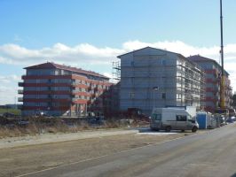 29.1.2015